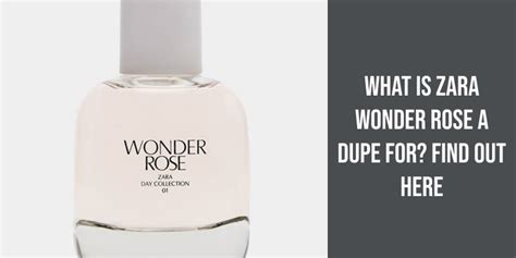 burberry hero dupe zara|zara wonder rose dupes.